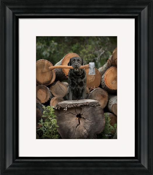 F759225056 - High-Quality Product for Online Shopping | Perfect for Home, Office & Gifting