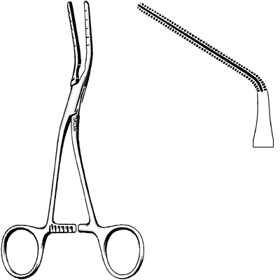 Cooley Multi-Purpose Clamp 6-1/2 Inch (52-6902) - Heavy Duty Spring Clamp for Woodworking, DIY Projects & Home Repairs