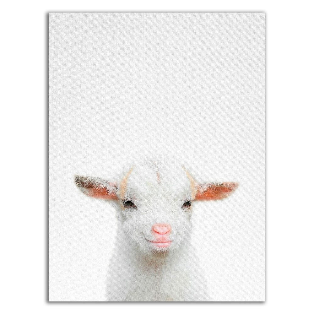 Baby Goat Wall Art by Tai Prints - Handmade Canvas Print Ready to Hang - Perfect for Nursery, Kids Room & Farmhouse Decor