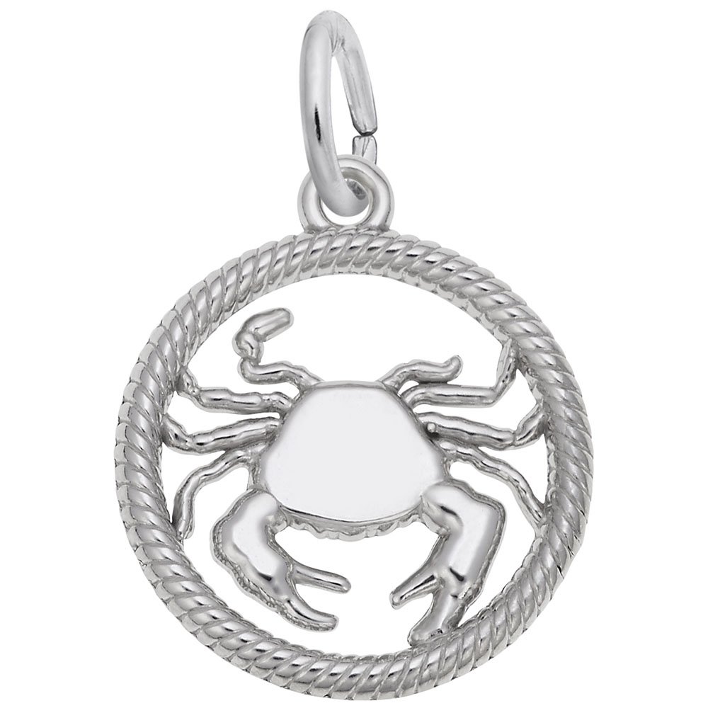 Cancer Zodiac Charm Pendant - Sterling Silver & Gold Plated Jewelry for Bracelets & Necklaces - Perfect Gift for Birthdays, Anniversaries & Astrology Lovers