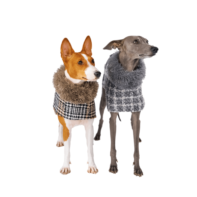 Moon River Coat - Stylish & Warm Winter Jacket for Women & Men - Perfect for Outdoor Activities, Travel & Casual Wear