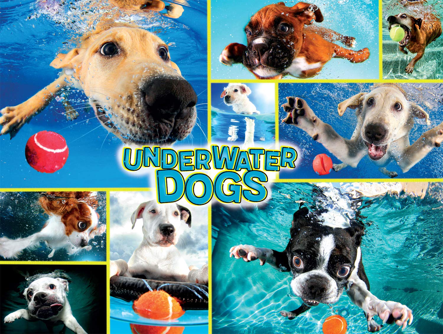 Buffalo Games Underwater Dogs 750 Piece Jigsaw Puzzle for Adults - Challenging Dog Photography Puzzle - 24x18 Inch Finished Size - Perfect for Family Game Nights, Stress Relief & Home Decor