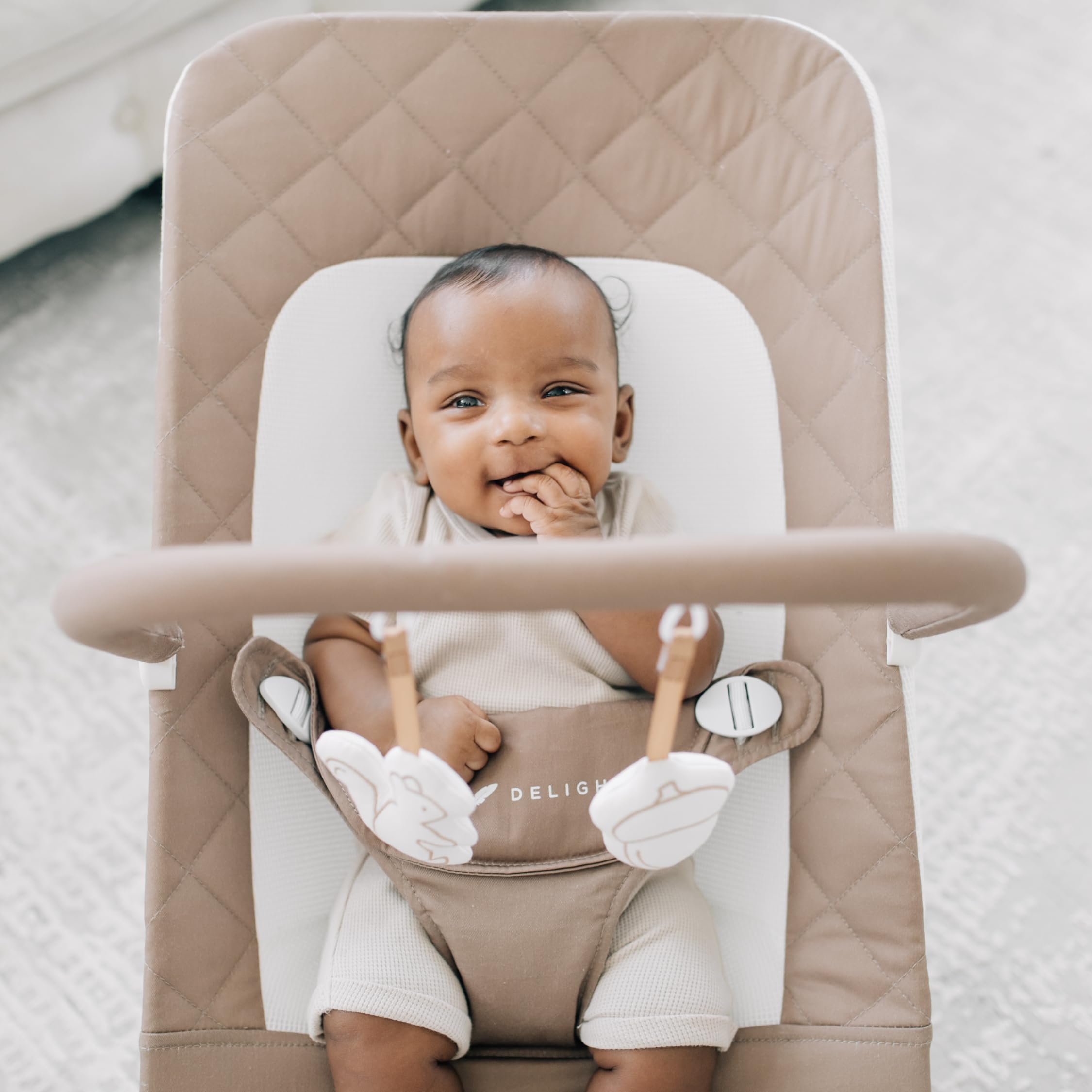 Baby Delight Alpine Deluxe Portable Baby Bouncer - Infant Seat for Newborns 0-6 Months | 100% GOTS Certified Organic Cotton Fabric in Mocha | Gentle Rocking Motion for Soothing & Playtime | Perfect for Nursery, Living Room or Travel