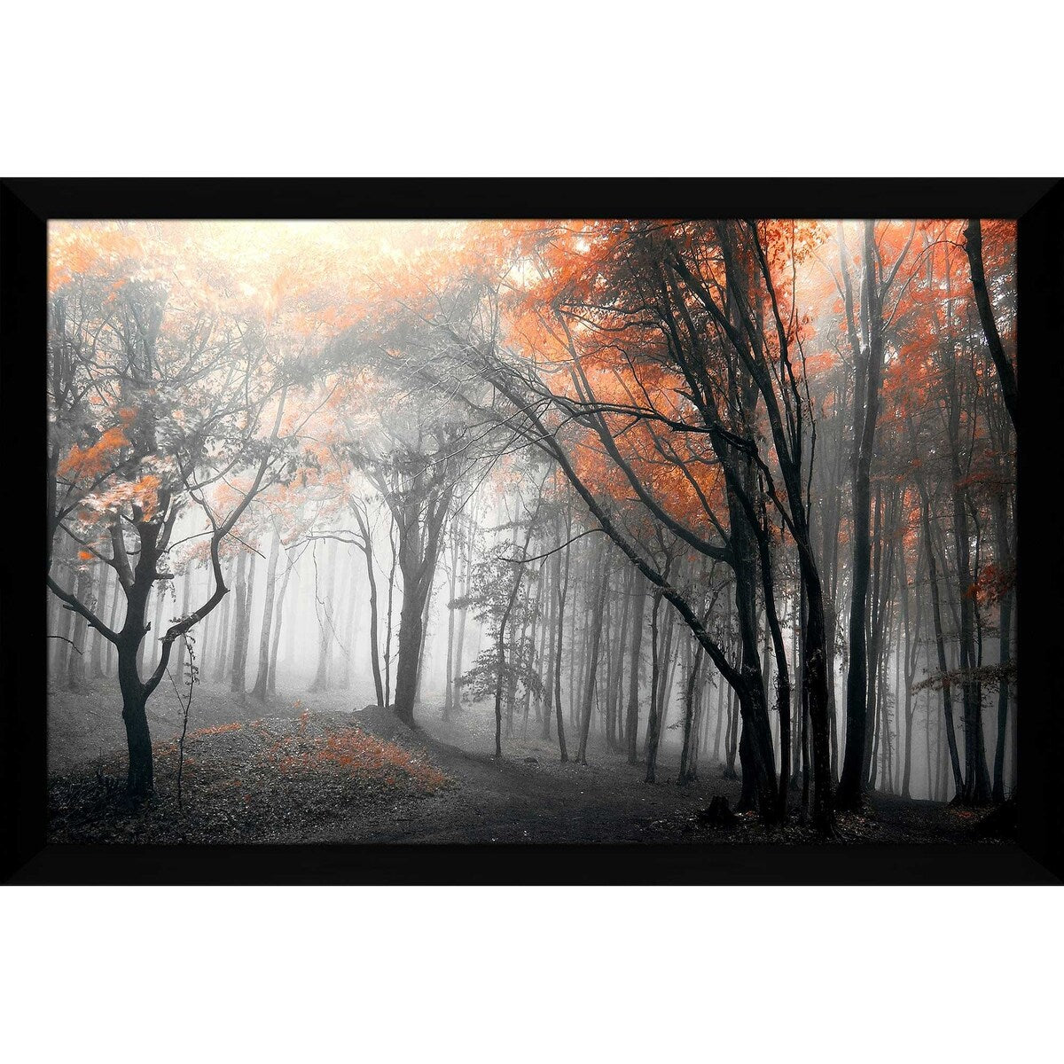 46 Autumn Woods Landscape Print on Acrylic - Premium Wall Art Decor for Living Room, Bedroom & Office - Nature Photography by PhotoINC Studio