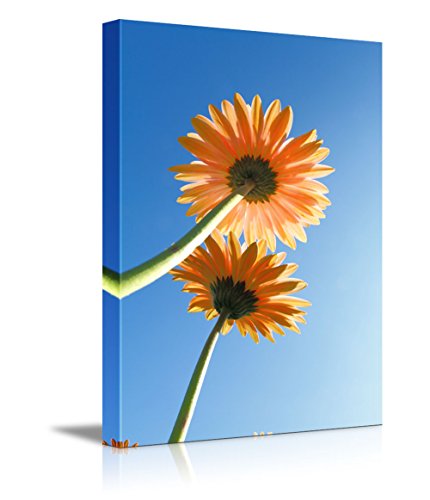 Two Sunflowers in the Sunlight