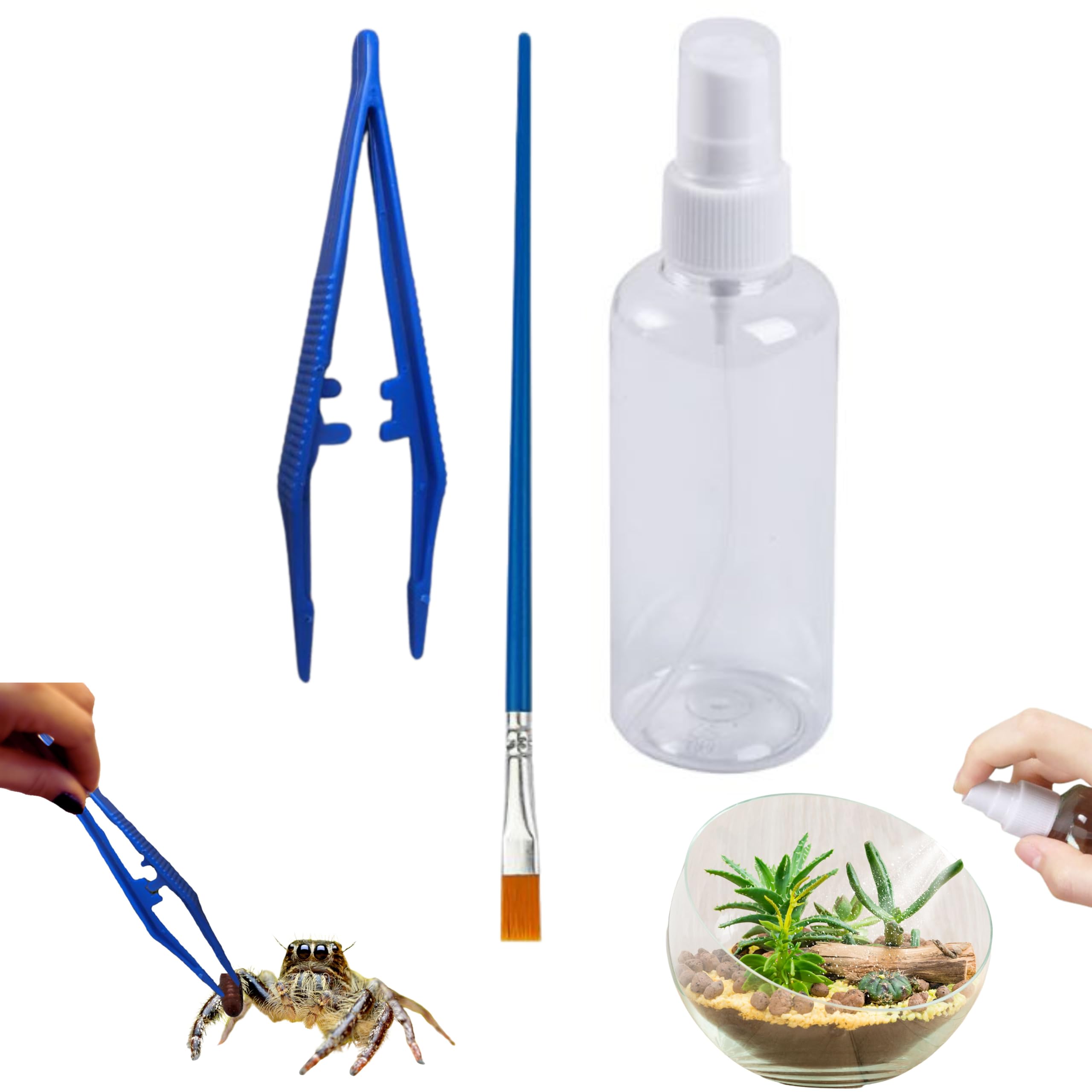 Premium Jumping Spider Enclosure Starter Kit - Tarantula Habitat with Accessories, Snail Terrarium & Moss Growing Tools | Mini Plant Grow Kit & Reptile Tank Supplies for Pet Spiders, Insects & Small Reptiles | Perfect for Home, Classroom & Nature Observation (Blue, Small Size)