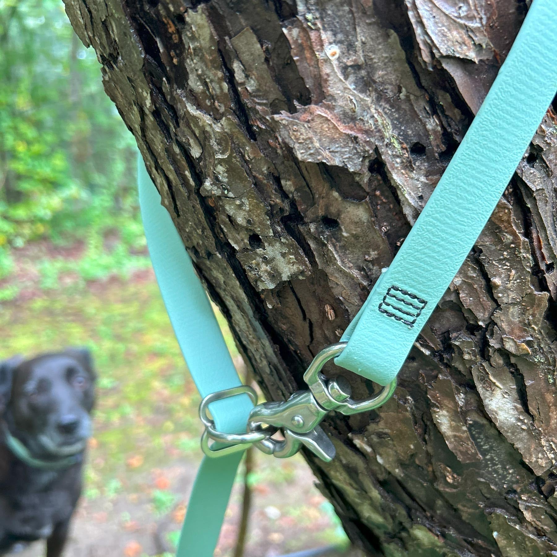 PACKT - Waterproof Hands-Free Dog Leash for Large & Medium Dogs | Adjustable 8ft European Style Leash | Made in USA | Durable & Stronger than Leather | Berry Color | Perfect for Hiking, Running & Outdoor Adventures