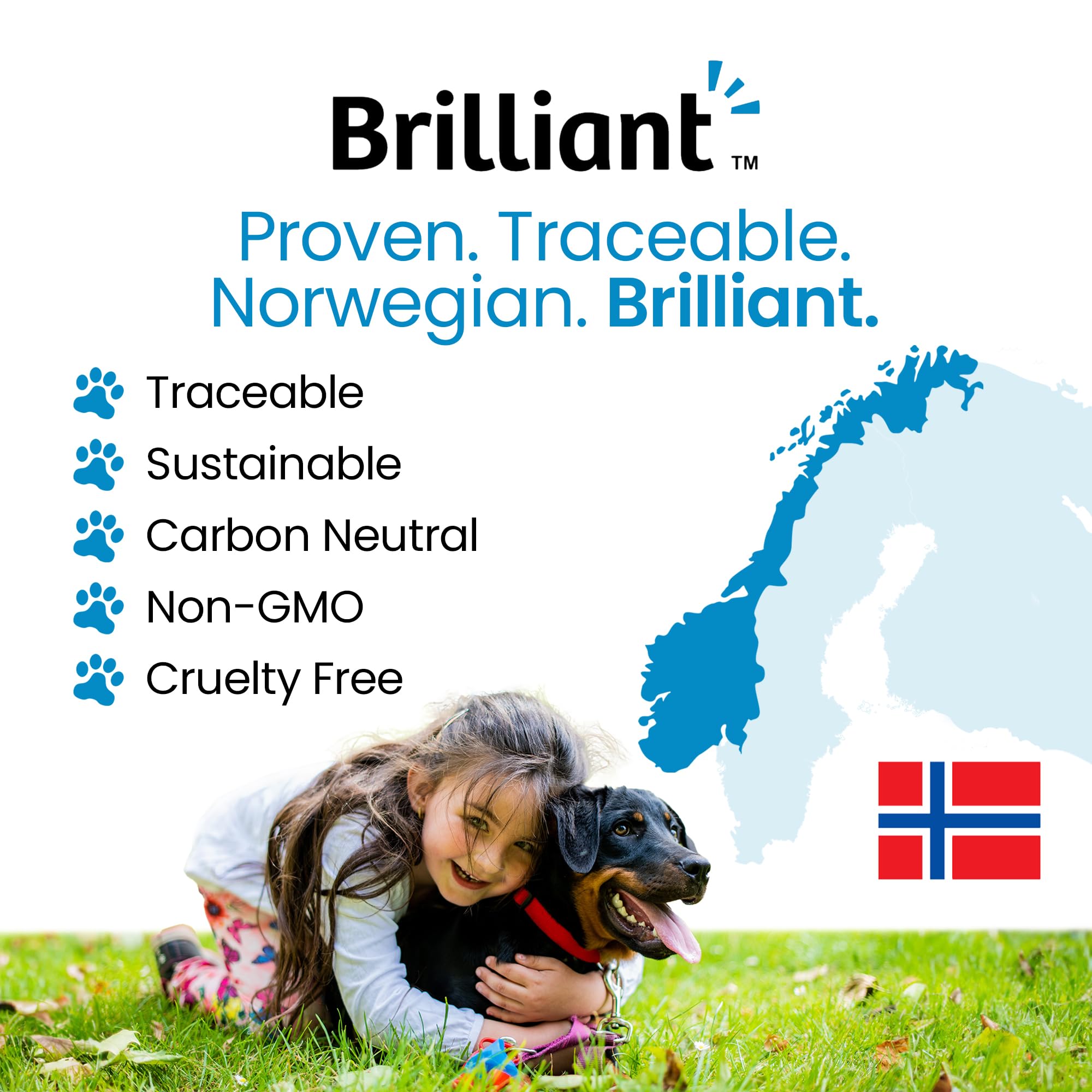 Premium 100% Natural Calcium Hydroxyapatite Powder for Dogs - Bioavailable Bone & Joint Supplement with Collagen | Low-Fat Calcium Bone Meal for Strong Bones & Healthy Joints | Ideal for Senior Dogs & Active Pets (200g) | Supports Mobility & Bone Health for Daily Wellness