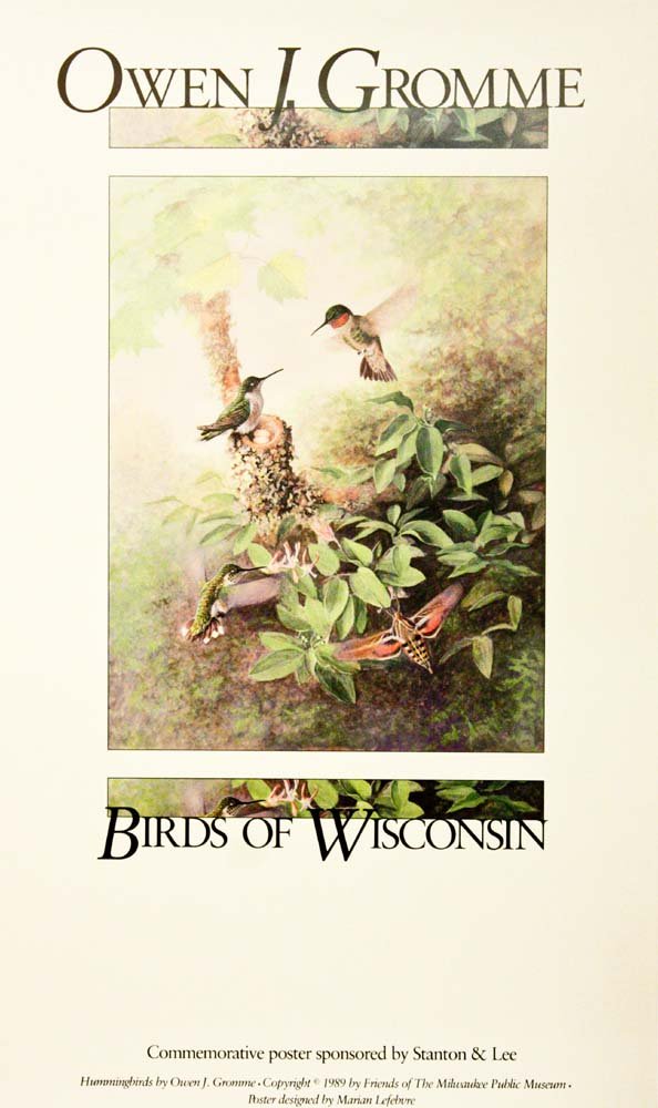 Owen Gromme Hummingbird Print - Birds of Wisconsin Open Edition Artwork on Paper - Perfect for Home Decor, Office Wall Art & Nature Lovers Gift