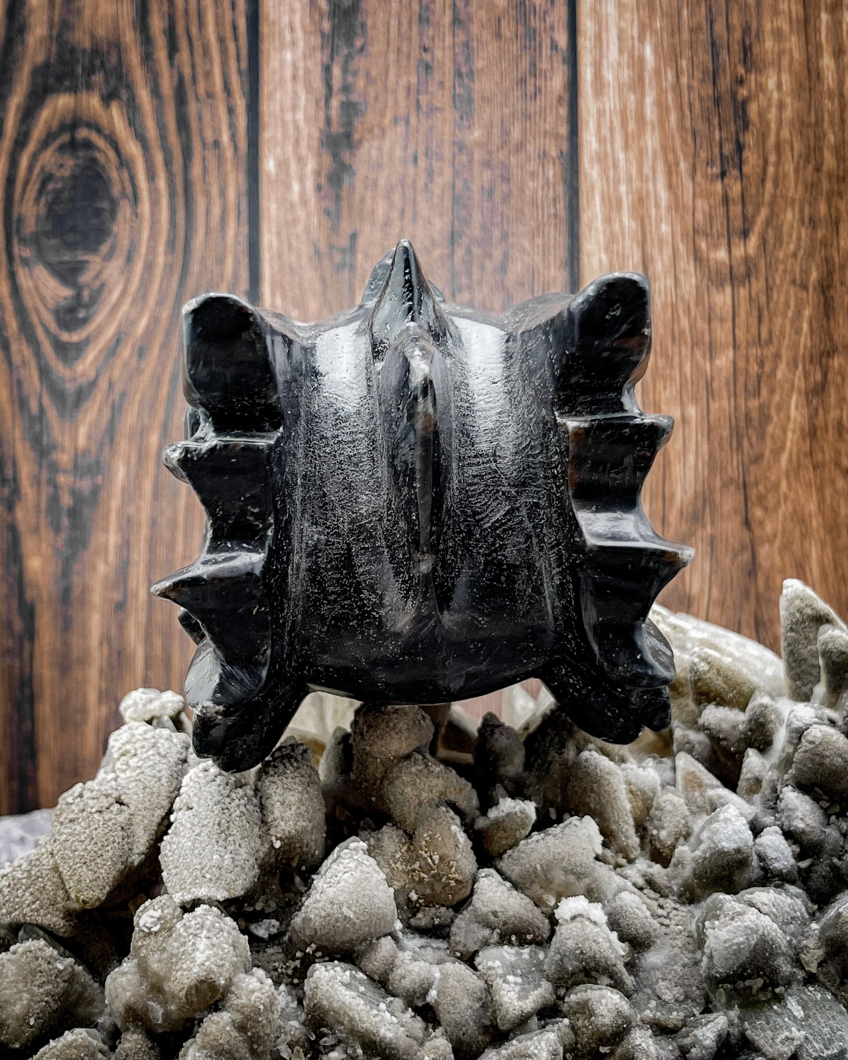 Astrophyllite Dragon Head Pendant - Unique Handmade Crystal Necklace for Spiritual Healing & Energy Protection | Perfect for Meditation, Yoga & Gift Giving