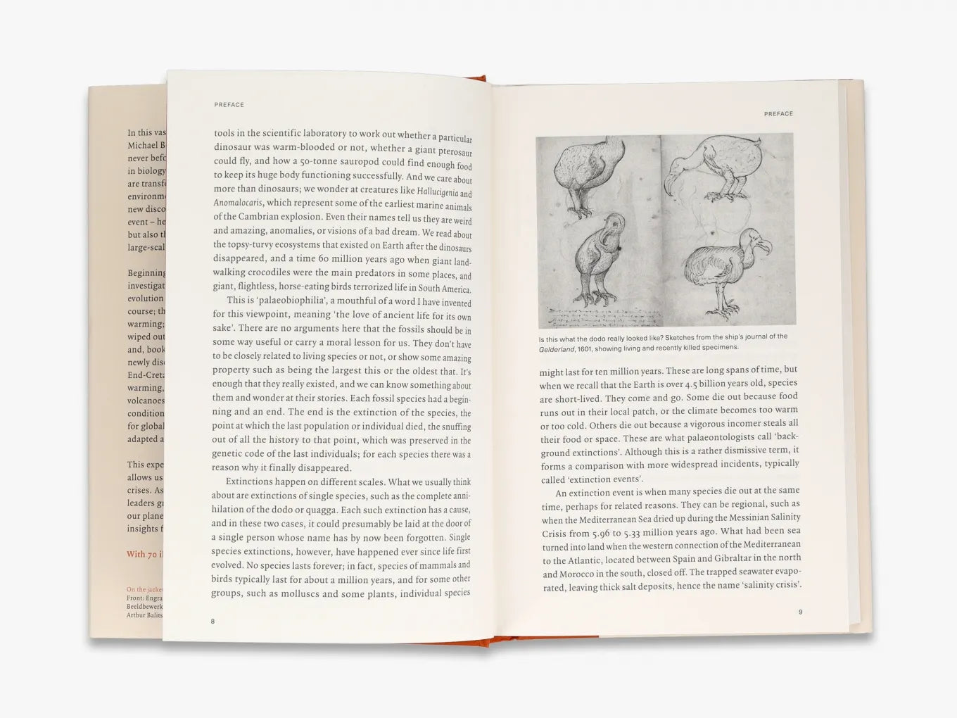 Extinctions - Explore the History of Extinct Species | Educational Books & Resources for Students & Teachers | Perfect for Classrooms, Homeschooling & Science Enthusiasts