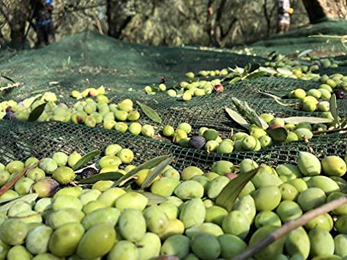Laconiko Ultra Premium 100% Extra Virgin Olive Oil - Cold Pressed, Koroneiki Variety from Greece | 2023 NYIOOC Gold Medal Winner | 6-Pack (76.1oz Total) | Perfect for Salads, Cooking & Gourmet Gifts