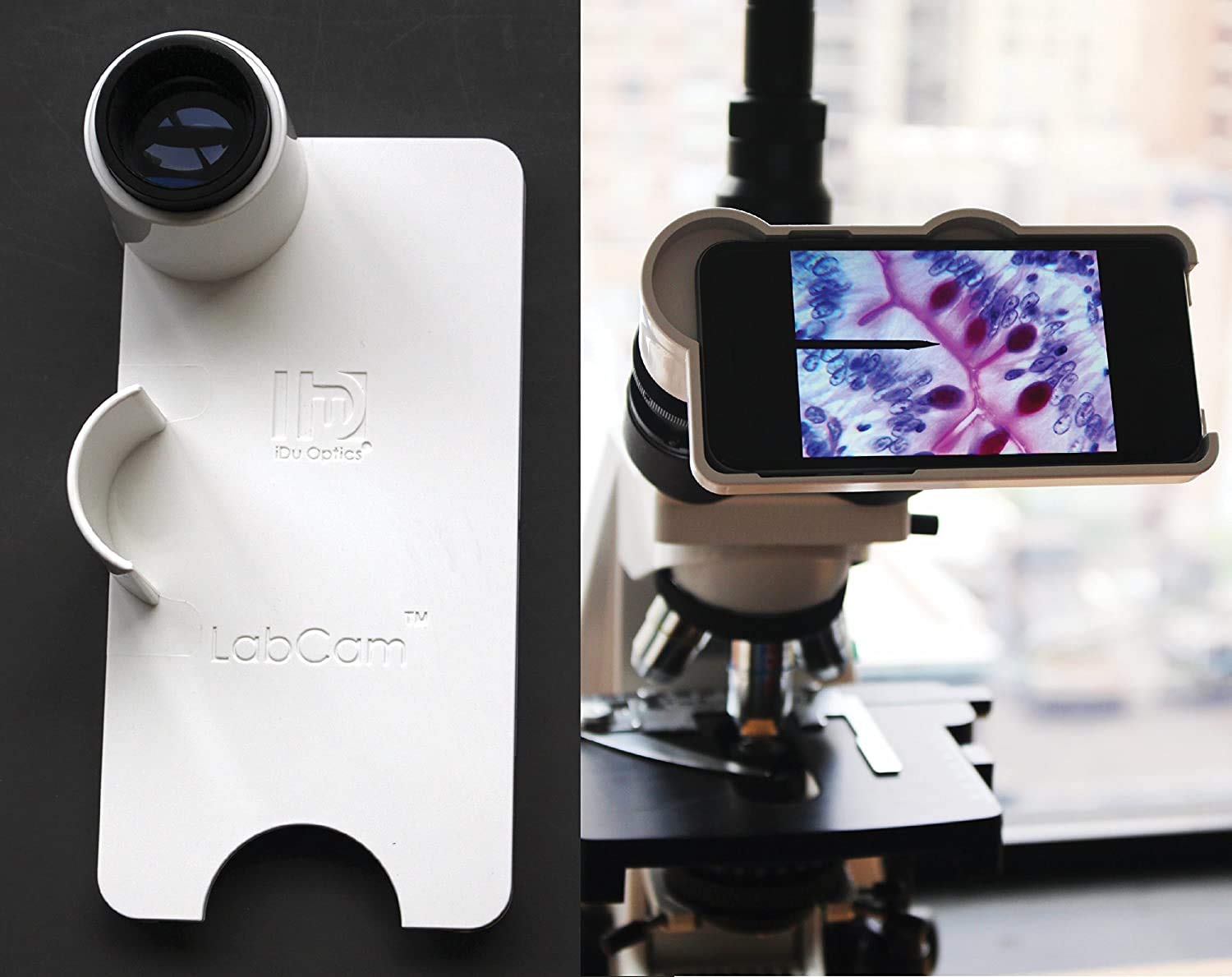 LabCam Microscope Adapter for iPhone Xs Max - Universal Smartphone Microscope Lens Attachment for Science, Education & Hobby Use - Perfect for Classroom, Lab & Outdoor Exploration