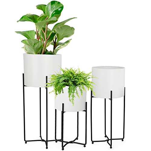 White Pot Black Stand