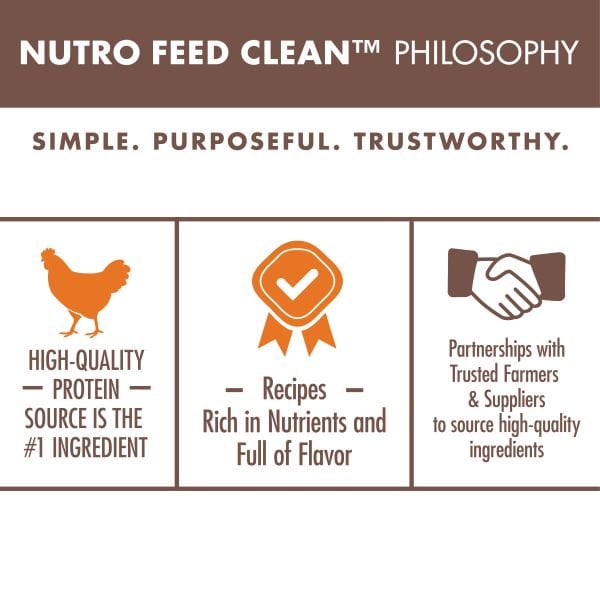 Nutro Wholesome Essentials Chicken & Brown Rice Recipe Indoor Adult Dry Cat Food - 5 lb Bag - High Protein Natural Kibble for Indoor Cats - Perfect for Weight Management & Hairball Control at Home