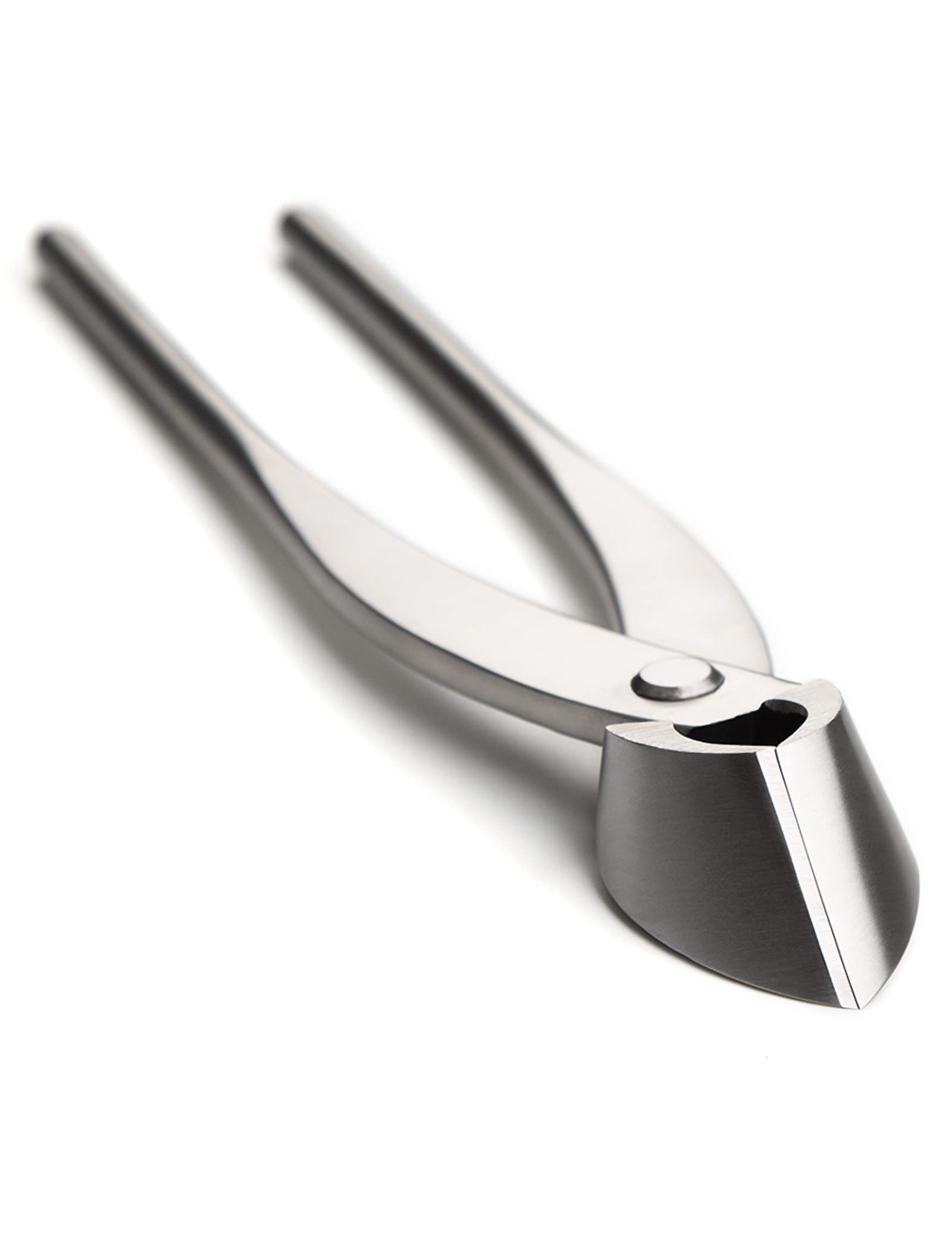 Professional Grade Bonsai Straight Edge Cutter - Alloy Steel Branch Trimmer with Tool Bag (MT-SE-280) | Perfect for Pruning, Shaping & Maintaining Bonsai Trees, Gardens & Indoor Plants