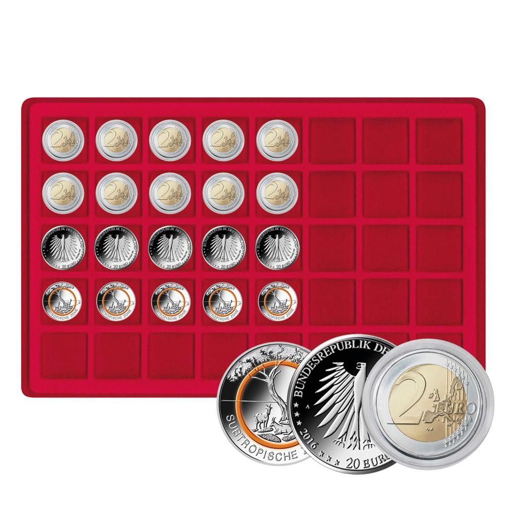 Aluminum Coin Case with 5 Red Coin Trays - Holds 200 Coins or 34mm Coin Capsules | Durable Storage for Collectible Coins, Tokens & Medals | Perfect for Numismatic Display, Organization & Protection