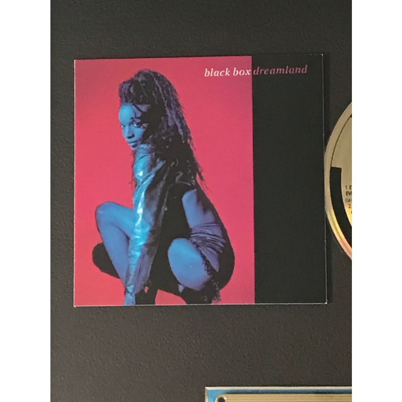 Black Box Dreamland RIAA Gold Album Award - Certified Music Achievement Plaque for Display & Collectors | Perfect for Music Studios, Offices & Fan Collections