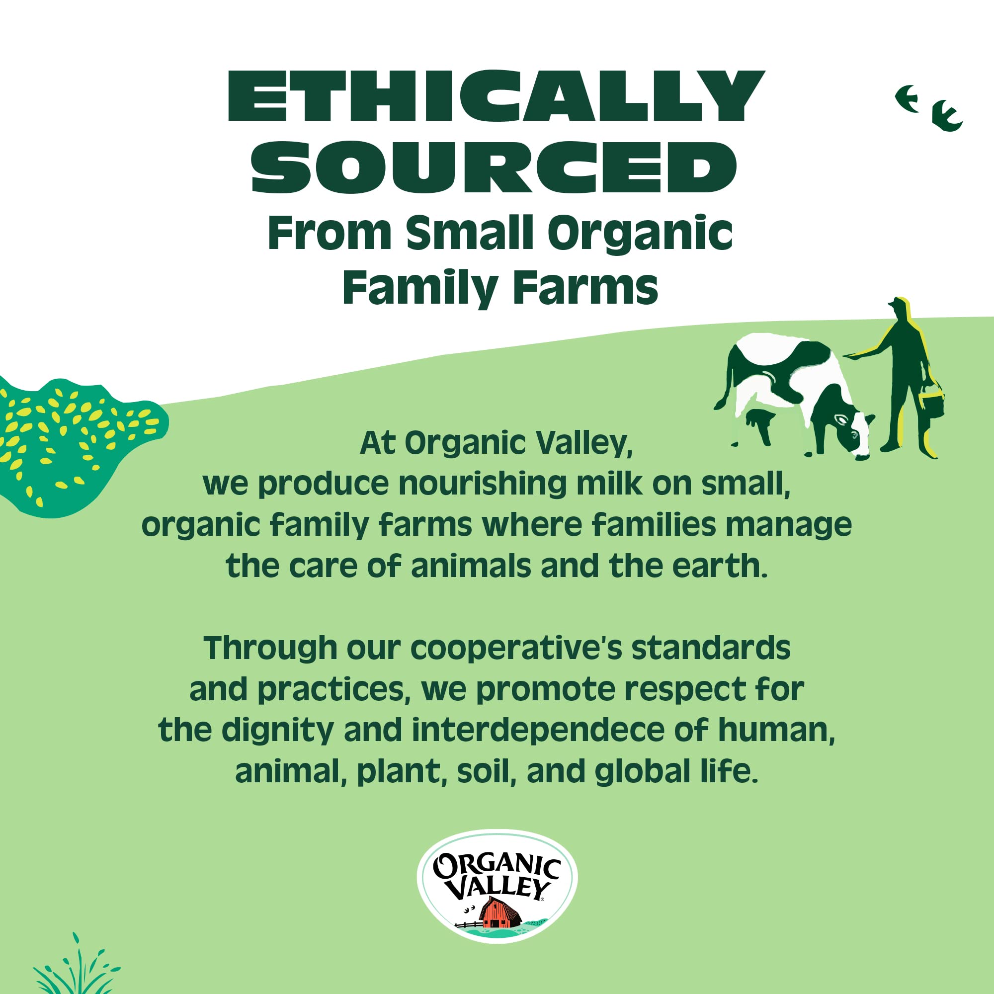 Organic Valley 3 Cheese Organic Finely Shredded Mexican Cheese Blend - Authentic Blend for Tacos, Nachos & Quesadillas - Premium Quality, Gluten-Free, Non-GMO - Perfect for Family Dinners & Mexican Cuisine