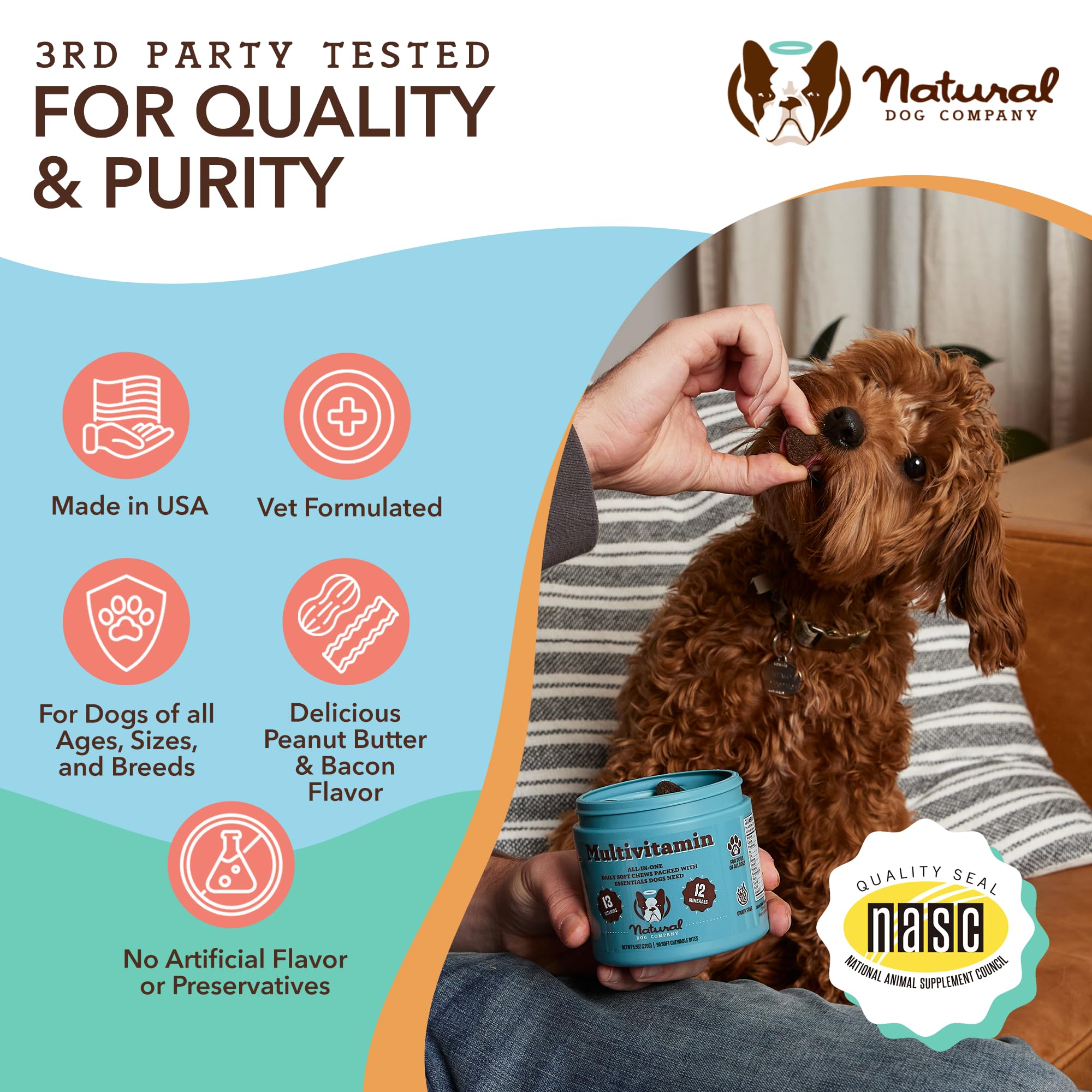 Natural Dog Company Multivitamin Chews (90 Count) - Peanut Butter & Bacon Flavor Dog Vitamins for All Ages & Breeds - Immune Support & Antioxidant Supplement - Perfect for Daily Health Maintenance & Active Dogs