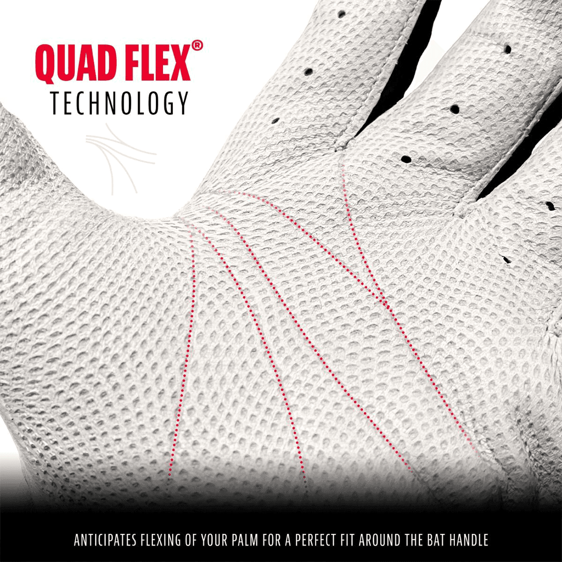 Franklin CFX Pro Black/White Batting Gloves for Baseball & Softball - Premium Grip & Comfort - Model 10570F - Ideal for Training, Games & Outdoor Sports