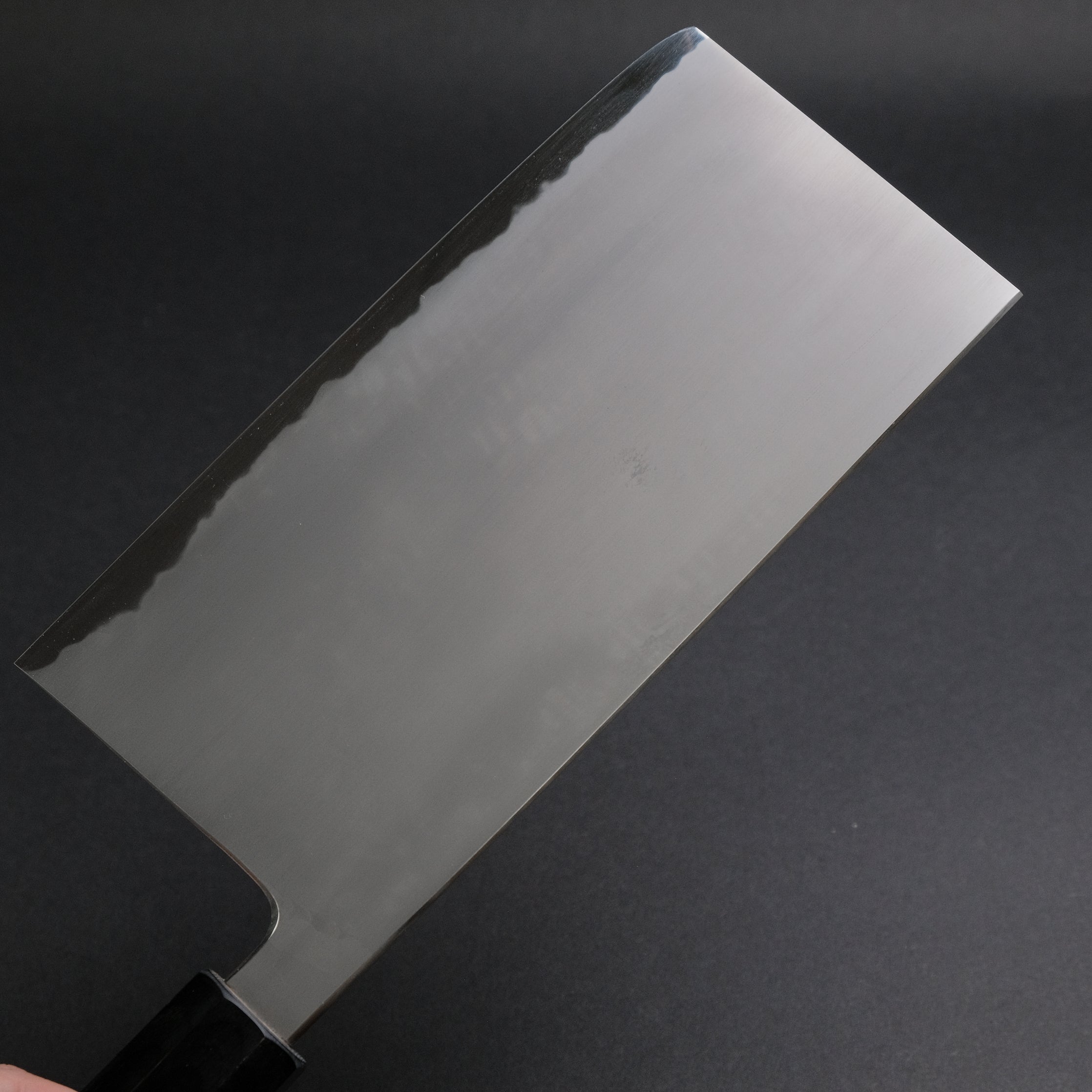 Premium Tetsujin Blue #2 Kasumi Nakiri Japanese Chef Knife 220mm - Extra Large Ho Wood Handle - Professional Kitchen Knife for Slicing, Chopping Vegetables & Herbs