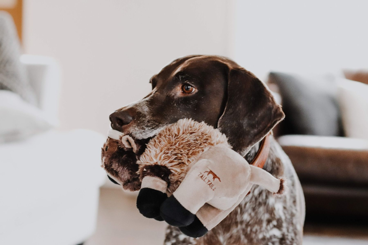 Squeaky Plush Dog Toy for Small & Large Dogs - Cute Buffalo Chew Toy with Noise Maker - Perfect for Playtime, Training & Teething Puppies