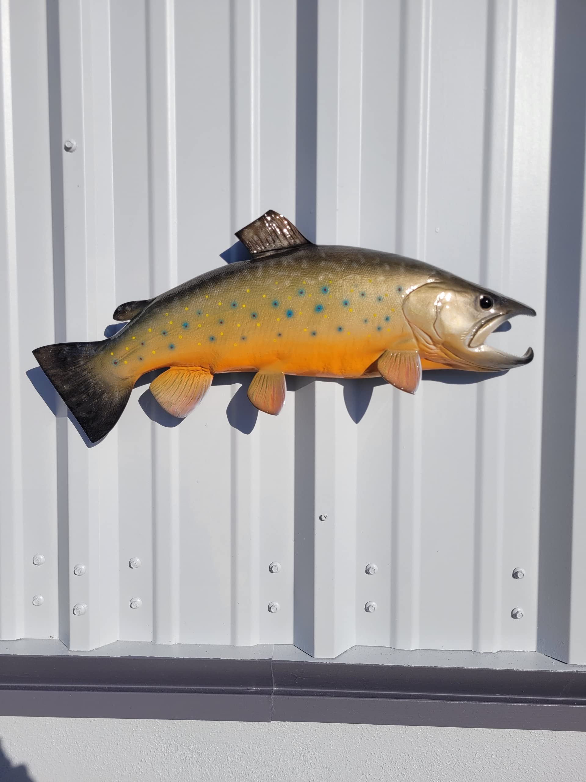 Trout Fish Mount Replicas - Realistic Wall Decor for Home & Office - Indoor/Outdoor Durable Display - Perfect for Fishing Enthusiasts & Cabin Decor