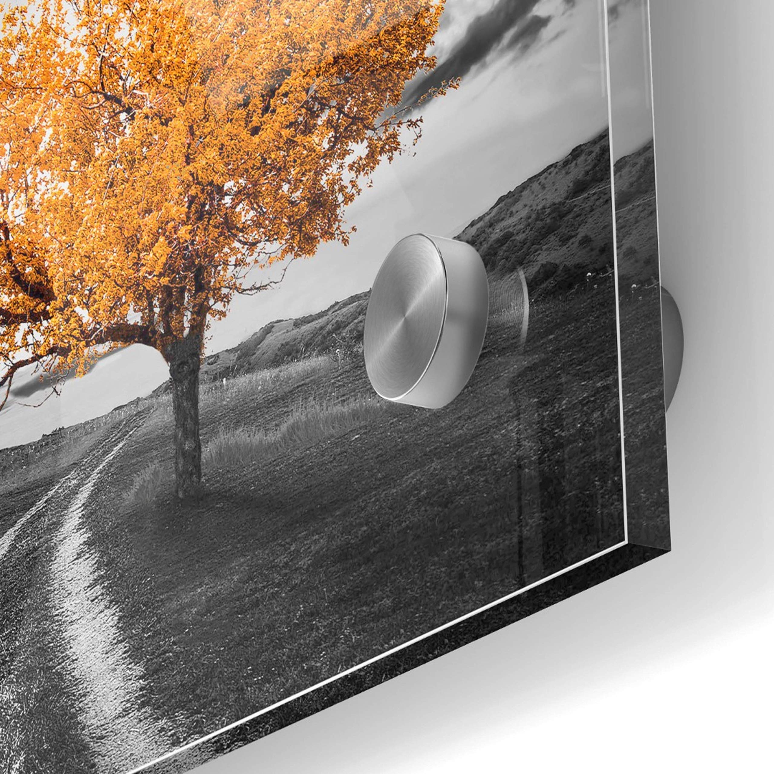 Vibrant Tree Series: Autumn - Acrylic Glass Wall Art Painting 24x24 Inches - Modern Home Decor for Living Room, Bedroom & Office