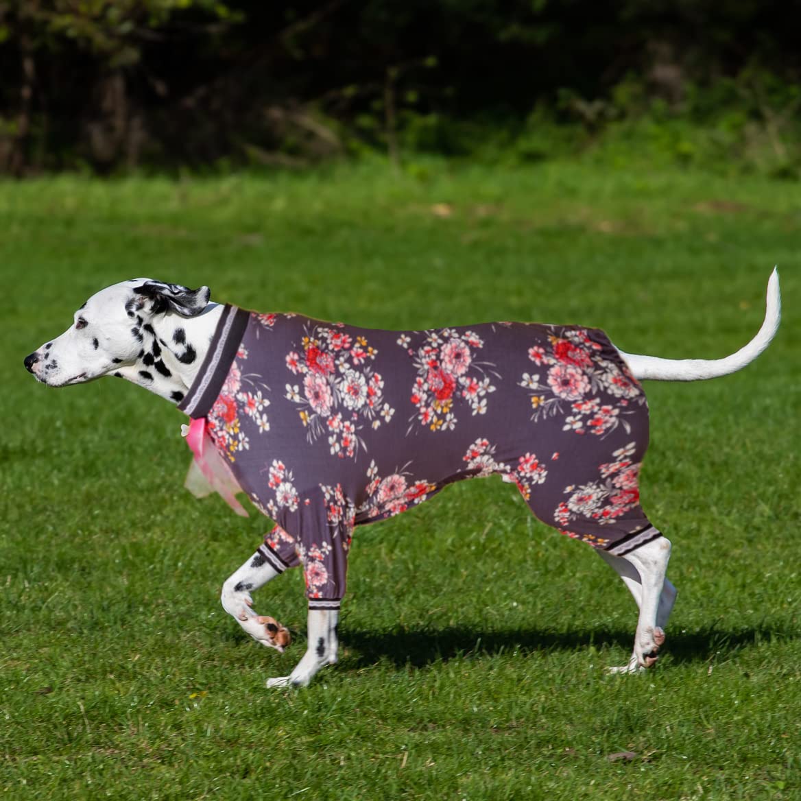 LovinPet Dog Recovery Suit - UV Protection & Anxiety Relief Dog Pajamas, Large 4-Leg Jumpsuit with Elastic Floral Prints (Black/Pink) - Perfect for Post-Surgery Care, Outdoor Sun Protection & Stress Relief for Big Dogs
