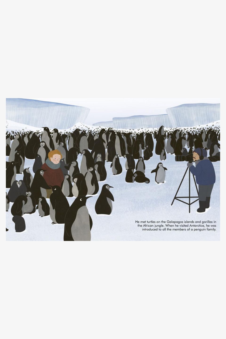 David Attenborough Little People Big Dreams Inspirational Biography Book for Kids - Perfect for Bedtime Stories & Classroom Learning