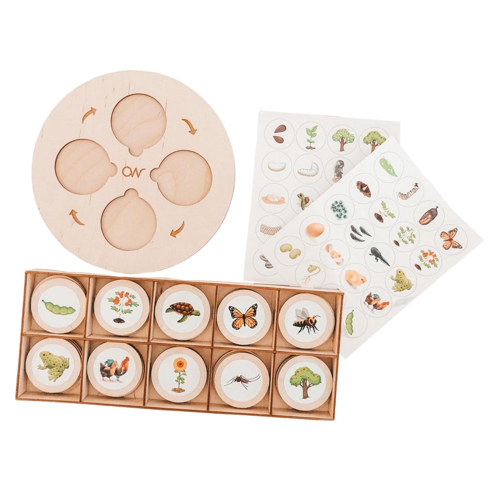 Montessori Wooden Life Cycle Tray - Educational Growth Puzzle Board for Toddlers & Preschool Kids - Learning Toys for Butterfly, Frog & Plant Life Cycles - Perfect for Homeschooling & Classroom Activities