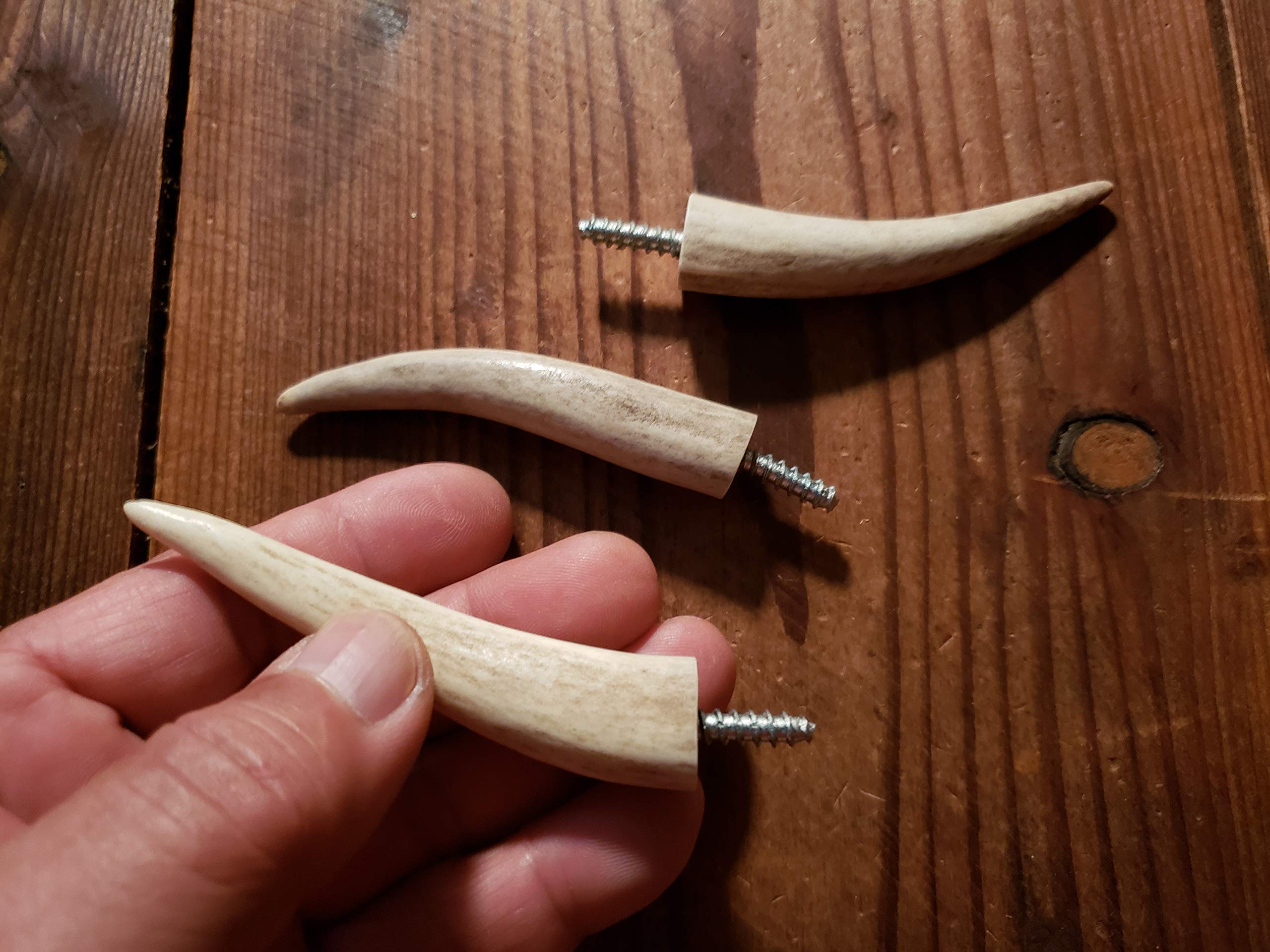 Premium Real Antler Tip Wall Hooks - 3 Pack for Screwing into Wood or Drywall - Perfect for Coats, Hats & Home Decor