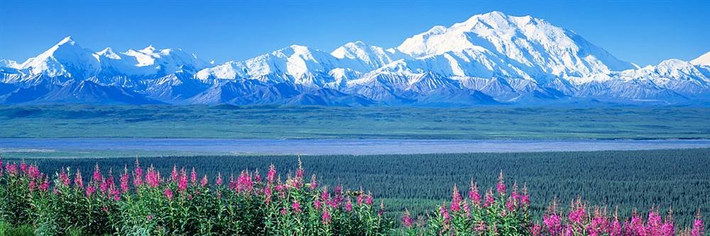 Peel and Stick Wall Mural - Stunning Mountains Lake Denali National Park Landscape Wallpaper (36x12 Inches) | Easy DIY Home Decor for Bedroom, Living Room, Nursery & Office