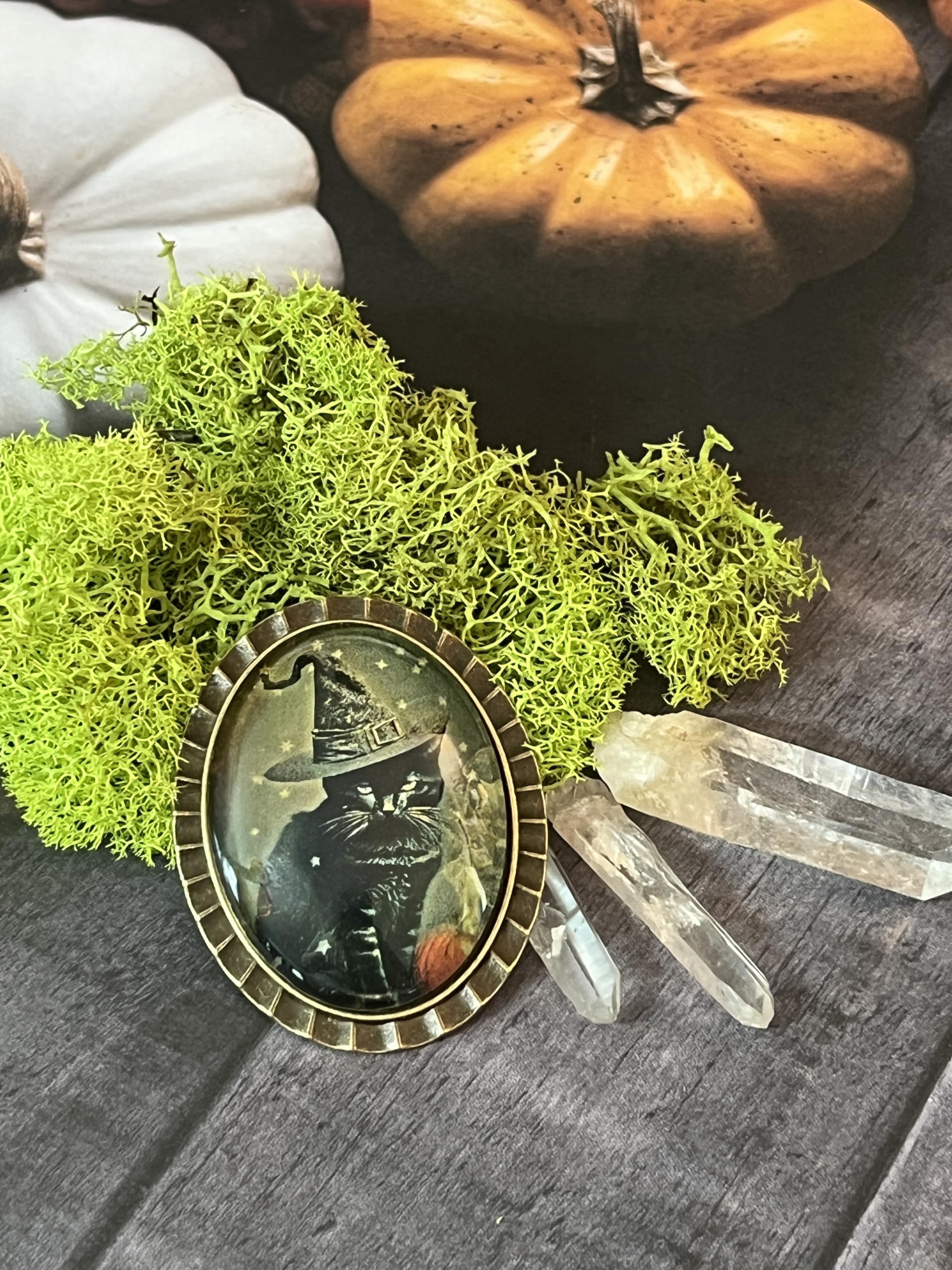 Black Cat Brooch Pin - Witch Hat Halloween Jewelry for Women | Cute Gothic Cat Accessories for Costume, Jacket, Scarf & Bag Decoration