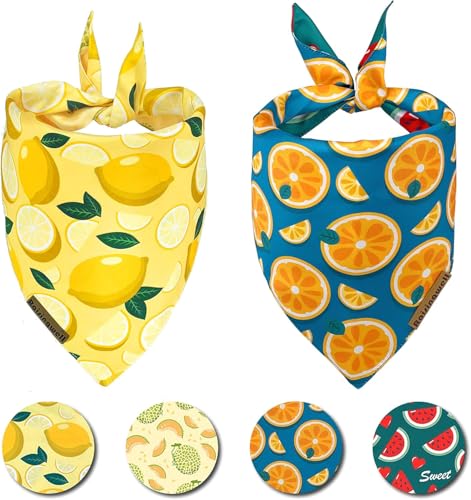 Summer fruits