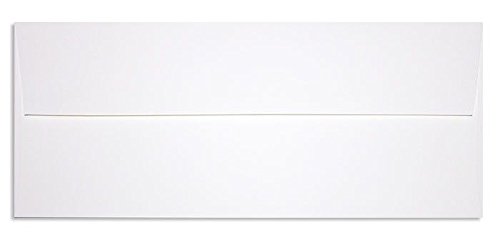 Premium #10 Business Envelopes - 500 Pack (4-1/8