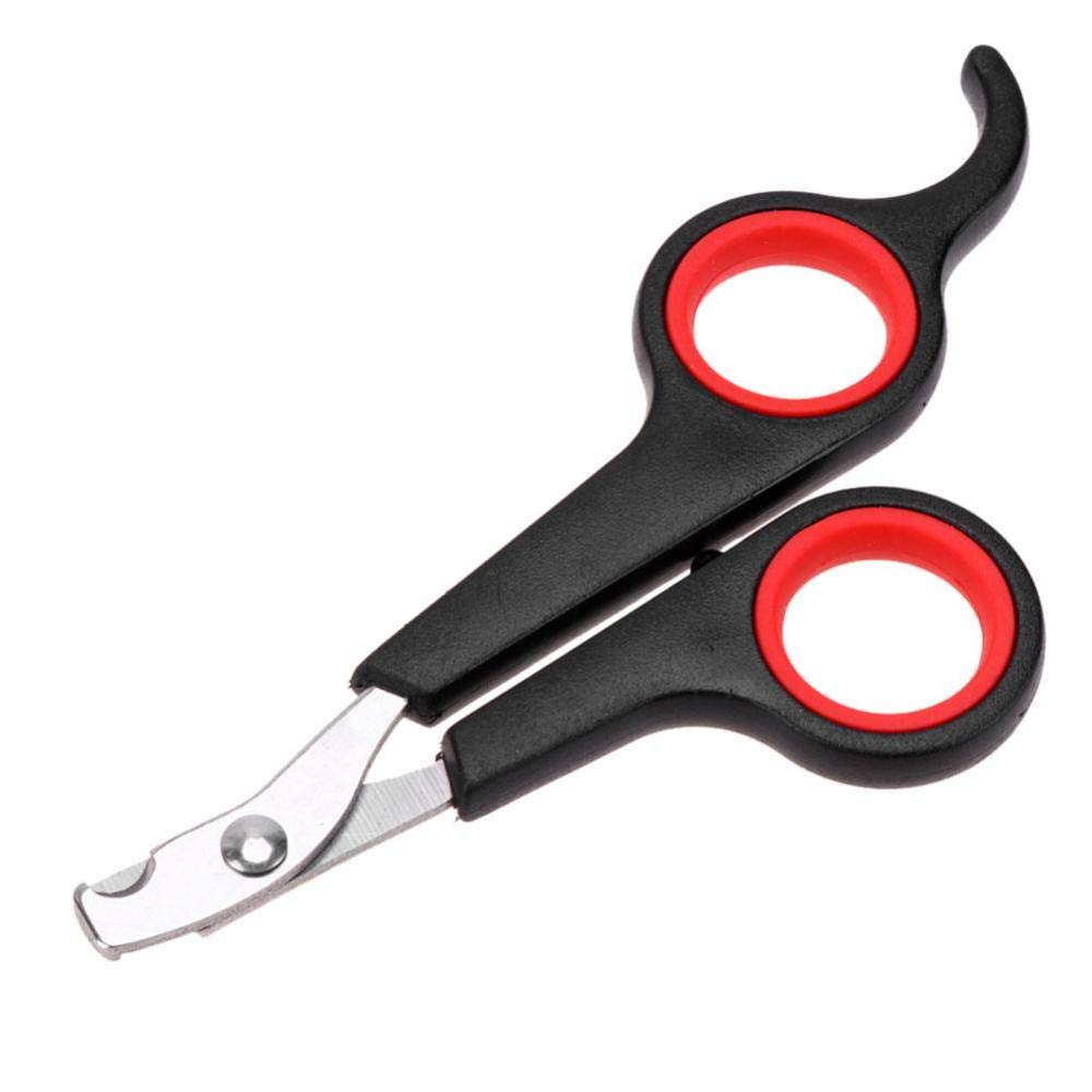 Premium Stainless Steel Pet Nail Clippers & Grinder Set - 4PCS Dog Nail Trimmer Kit for Safe Toe & Claw Care | Perfect for Grooming, Puppy Nail Maintenance & Professional Pet Grooming Tools