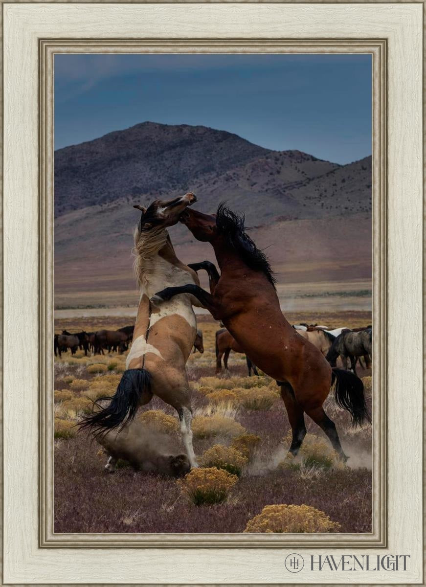 Desert Duel 1 by Greg Sargent - Western Adventure Novel for Adults | Perfect for Book Clubs, Gifts & Western Fiction Fans