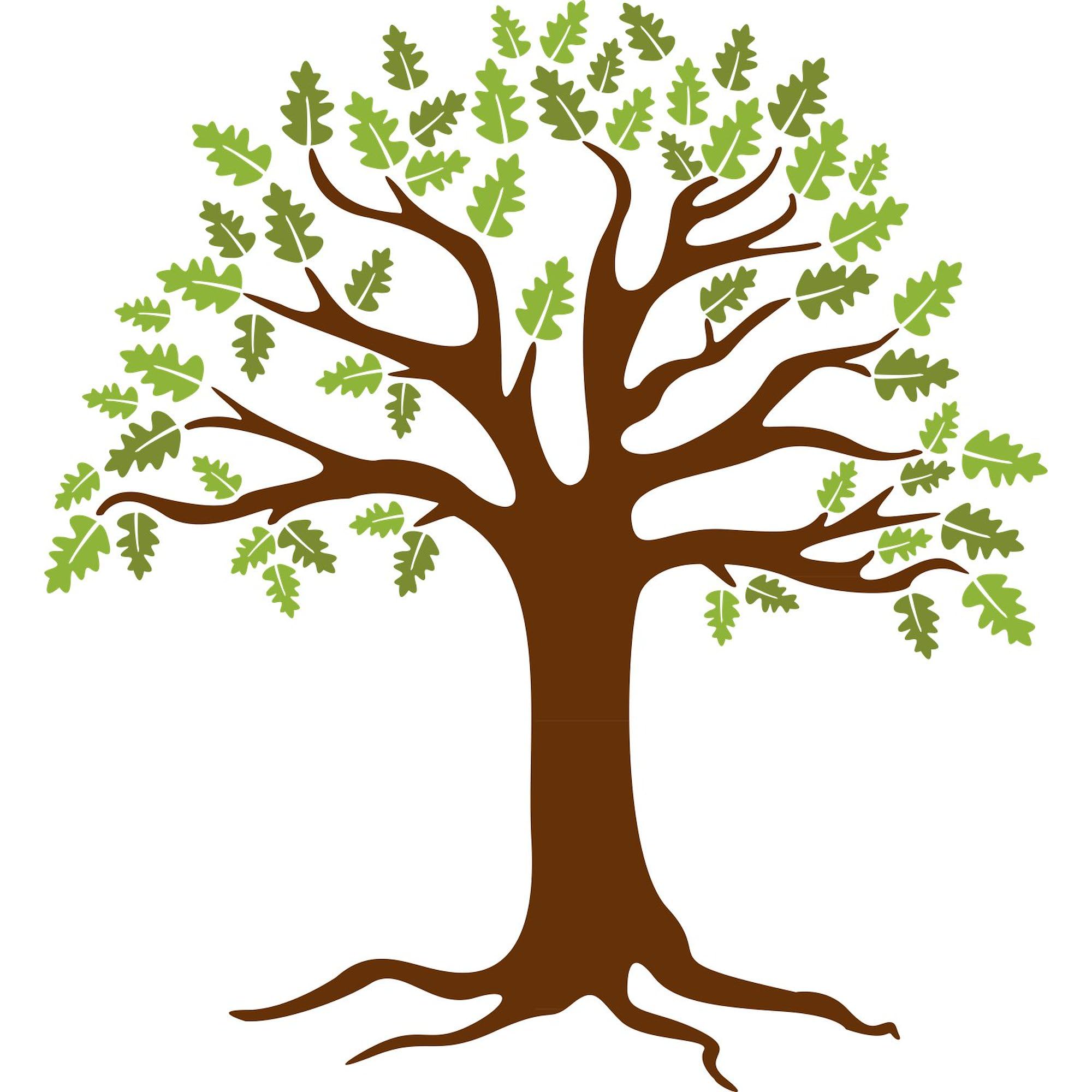 Oak Tree Oval Car Bumper Sticker - Decorate Your Vehicle