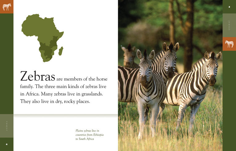 Amazing Animals (2014) - Zebras: Wildlife Documentary DVD | Educational Nature Films for Kids & Adults | Perfect for Classroom Learning & Family Movie Nights