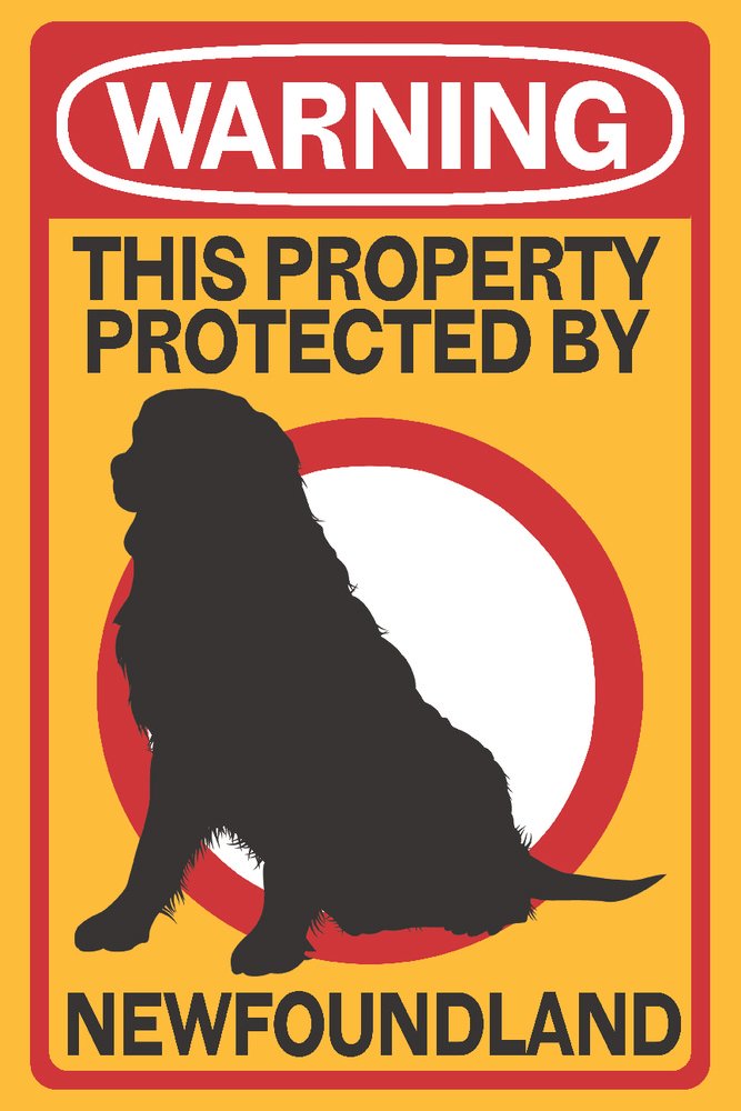 Lantern Press Newfoundland Warning Wall Art - 16x24 Wrapped Canvas Print for Home & Office Decor - Coastal Landscape Painting Perfect for Living Room, Bedroom or Beach House