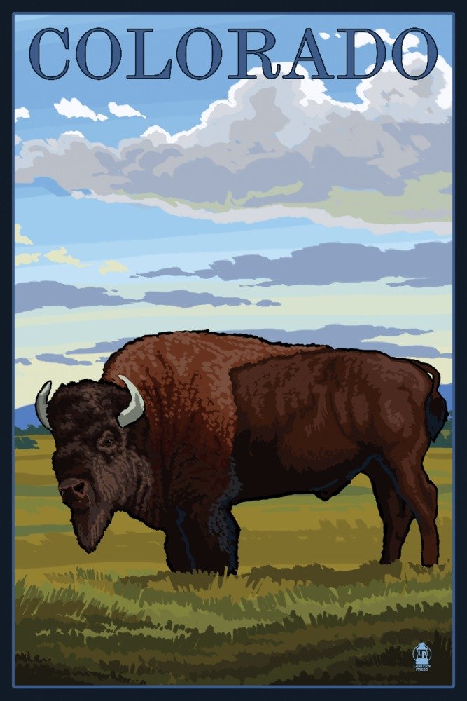 Colorado Buffalo Solo - 24x36 Gallery Quality Metal Wall Art, Aluminum Decor for Home & Office - Perfect for Living Room, Bedroom, or Office Wall Decor