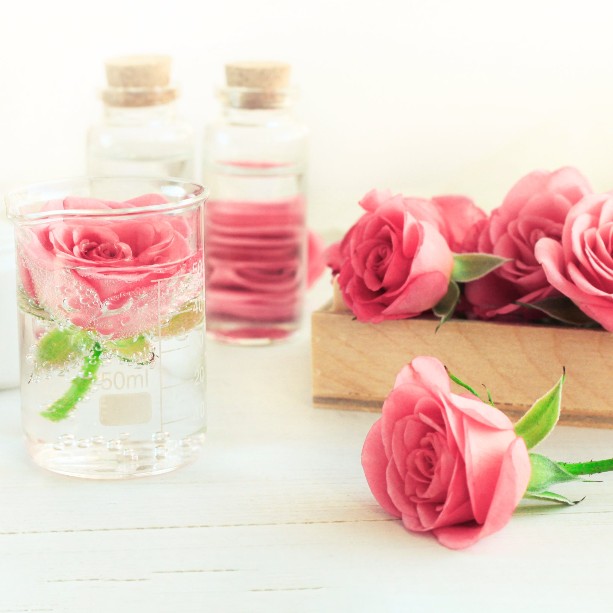 Premium Rose Floral Water - 100% Natural Hydrating Face Mist & Toner for Glowing Skin | Perfect for Daily Skincare, Makeup Setting & Refreshment