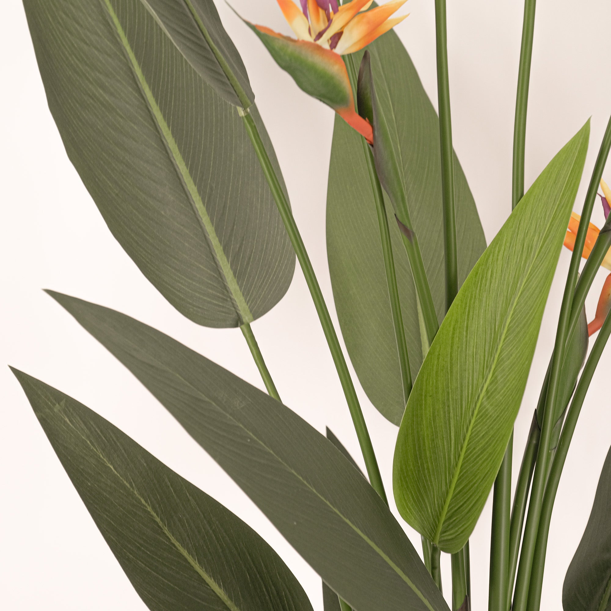 Large Artificial Plants - Giant Bird of Paradise with Flowers 180cm Tall - Perfect for Home Decor, Office, and Indoor Greenery