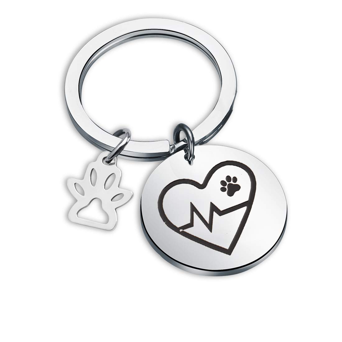 AKTAP Veterinarian Keychain - Unique Vet Tech Jewelry Gift for Graduation, Appreciation & Special Occasions - Perfect for Vet Students, Animal Lovers & Veterinary Professionals