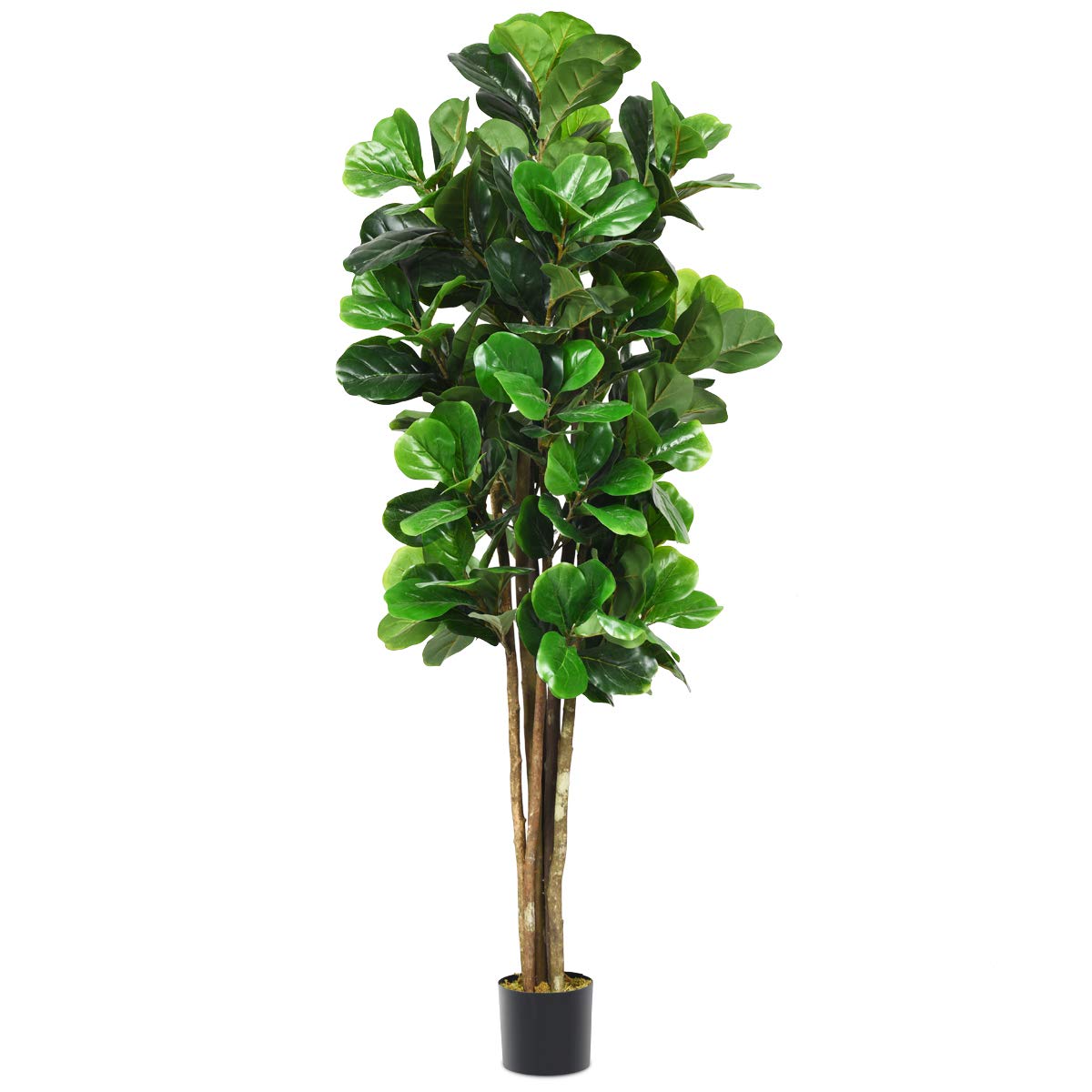 6FT Tall Artificial Fiddle Leaf Fig Tree in Pot - Realistic Fake Plant for Home, Office Decor - Perfect for Living Room, Bedroom & Indoor Spaces