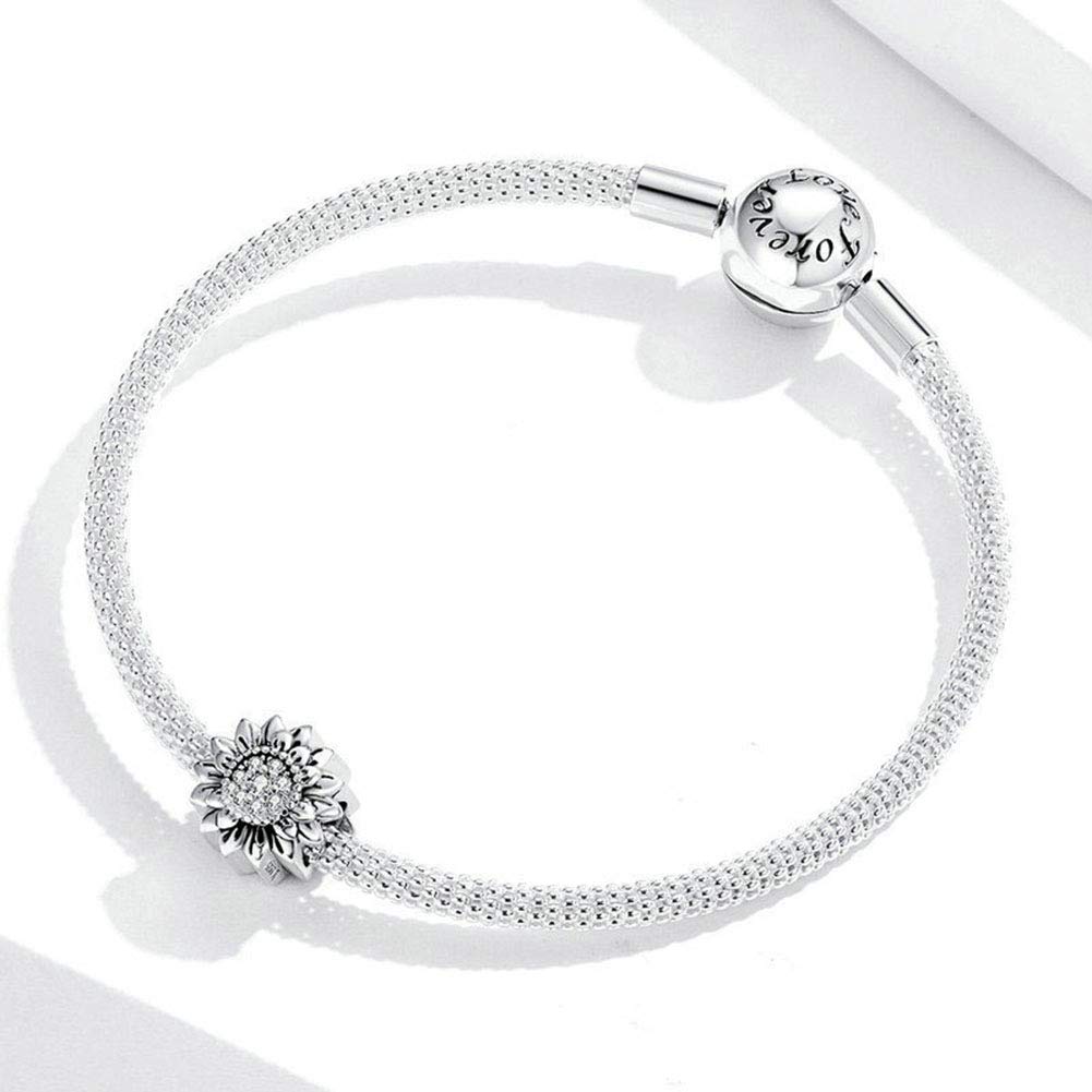 925 Sterling Silver Smile Charm for Pandora Bracelets - Healthy Teeth Pendant, Family Love Birthday Gift Jewelry for Women - Perfect for Everyday Wear & Special Occasions