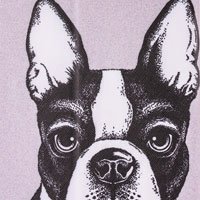 02 Bulldog