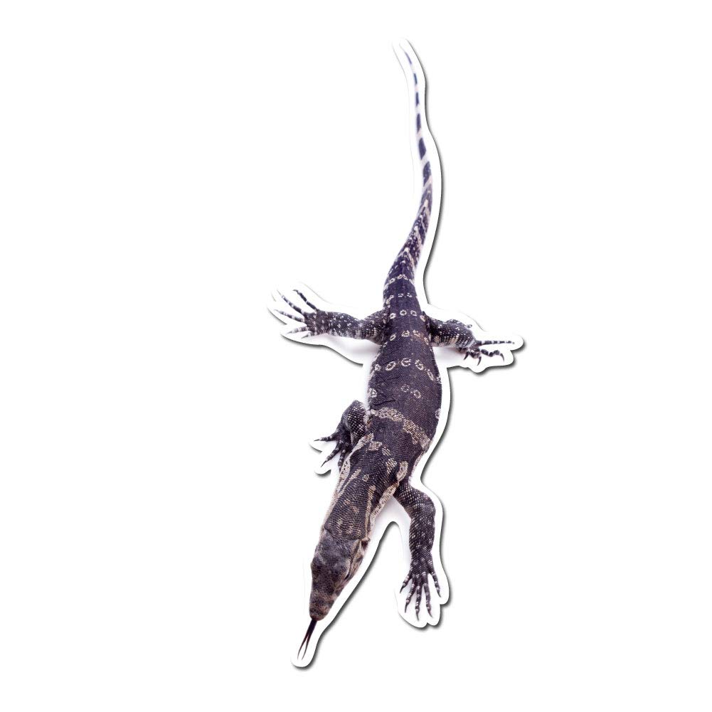 4 Inch Full Color Timor Monitor Lizard Vinyl Decal Sticker - Waterproof for Cars, Laptops, Windows, Walls, DIY Home Décor - Perfect for Indoor & Outdoor Use, Gifts, and Personalization